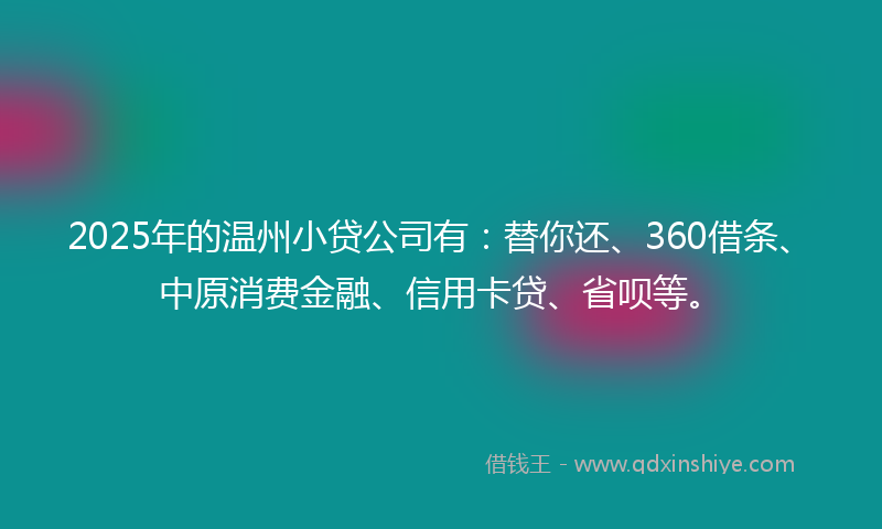 2025年的温州小贷公司有：替你还、360借条、中原消费金融、信用卡贷、省呗等。