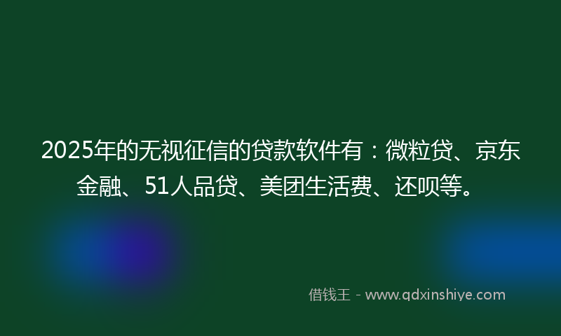 2025年的无视征信的贷款软件有：微粒贷、京东金融、51人品贷、美团生活费、还呗等。