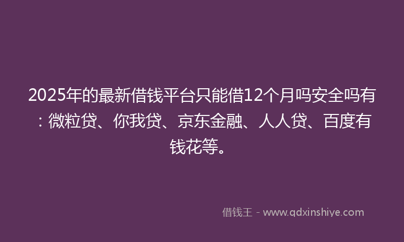 2025年的最新借钱平台只能借12个月吗安全吗有：微粒贷、你我贷、京东金融、人人贷、百度有钱花等。