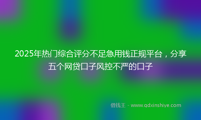 2025年热门综合评分不足急用钱正规平台，分享五个网贷口子风控不严的口子