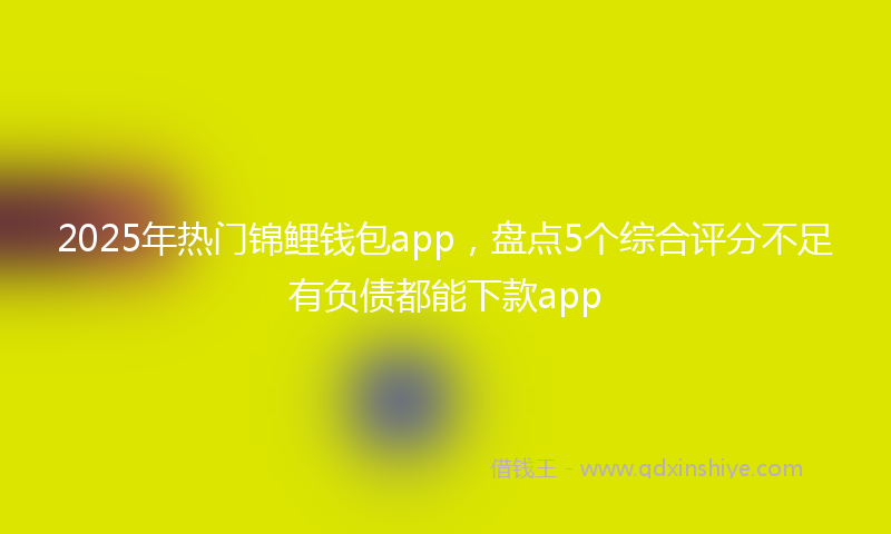 2025年热门锦鲤钱包app，盘点5个综合评分不足有负债都能下款app