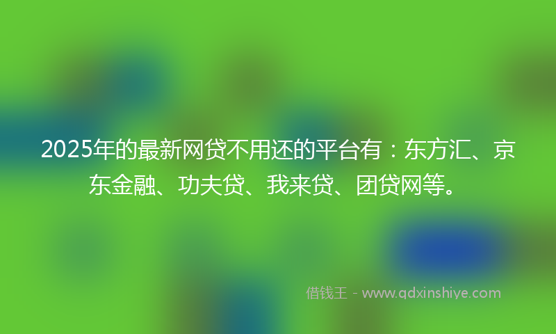 2025年的最新网贷不用还的平台有：东方汇、京东金融、功夫贷、我来贷、团贷网等。