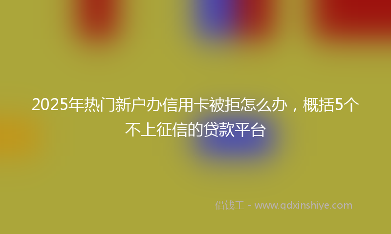 2025年热门新户办信用卡被拒怎么办，概括5个不上征信的贷款平台