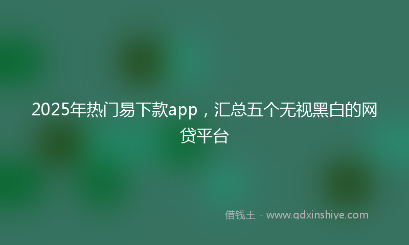 2025年热门易下款app，汇总五个无视黑白的网贷平台