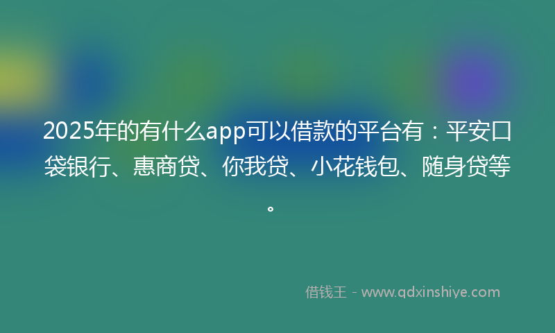 2025年的有什么app可以借款的平台有：平安口袋银行、惠商贷、你我贷、小花钱包、随身贷等。