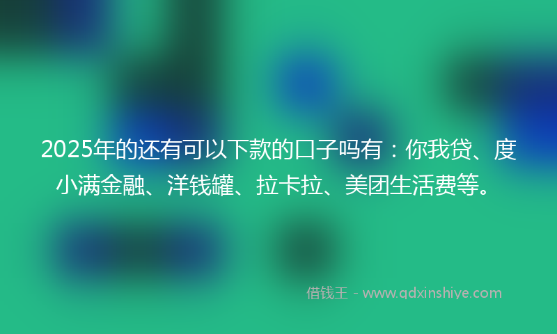 2025年的还有可以下款的口子吗有：你我贷、度小满金融、洋钱罐、拉卡拉、美团生活费等。