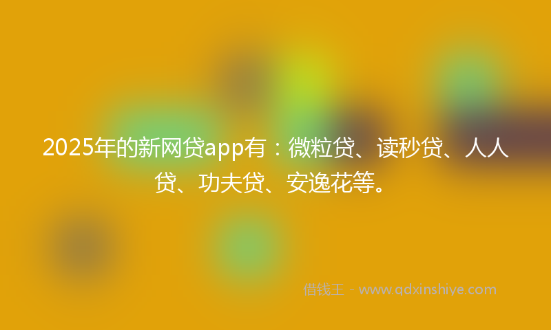 2025年的新网贷app有：微粒贷、读秒贷、人人贷、功夫贷、安逸花等。