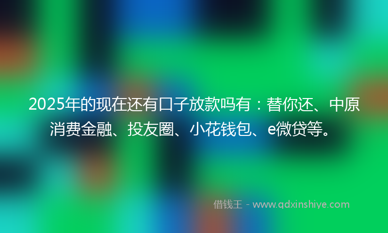 2025年的现在还有口子放款吗有：替你还、中原消费金融、投友圈、小花钱包、e微贷等。