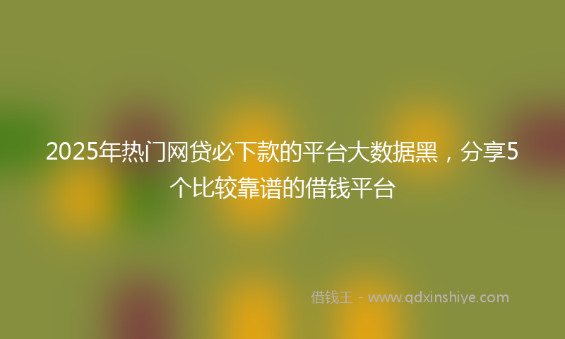 2025年热门网贷必下款的平台大数据黑，分享5个比较靠谱的借钱平台