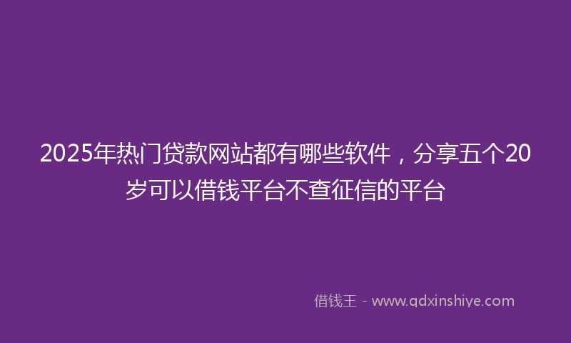 2025年热门贷款网站都有哪些软件，分享五个20岁可以借钱平台不查征信的平台