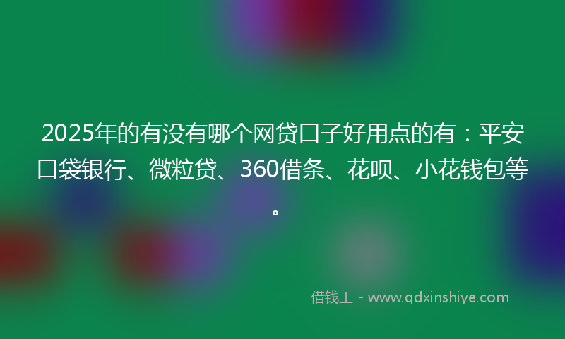 2025年的有没有哪个网贷口子好用点的有：平安口袋银行、微粒贷、360借条、花呗、小花钱包等。