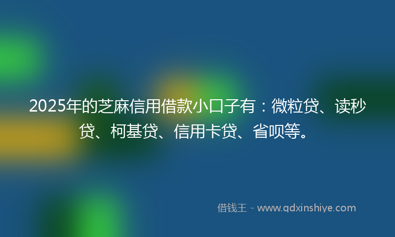 2025年的芝麻信用借款小口子有：微粒贷、读秒贷、柯基贷、信用卡贷、省呗等。