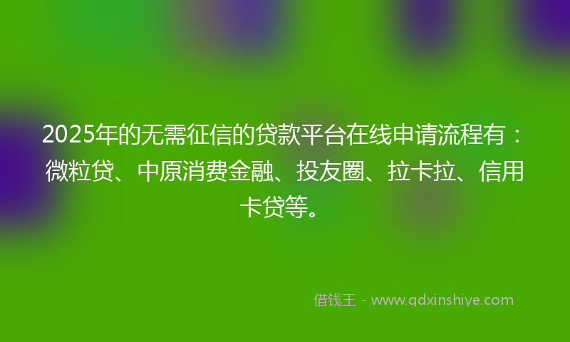 2025年的无需征信的贷款平台在线申请流程有：微粒贷、中原消费金融、投友圈、拉卡拉、信用卡贷等。