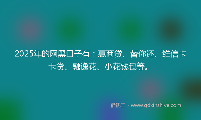 2025年的网黑口子有：惠商贷、替你还、维信卡卡贷、融逸花、小花钱包等。