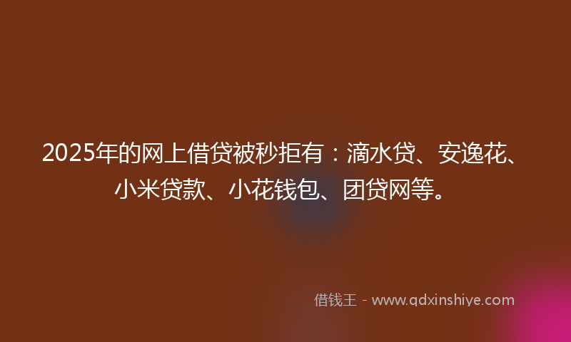 2025年的网上借贷被秒拒有：滴水贷、安逸花、小米贷款、小花钱包、团贷网等。