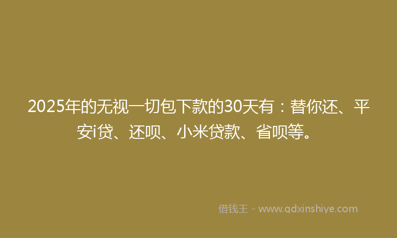 2025年的无视一切包下款的30天有：替你还、平安i贷、还呗、小米贷款、省呗等。