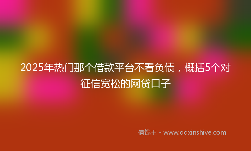 2025年热门那个借款平台不看负债，概括5个对征信宽松的网贷口子
