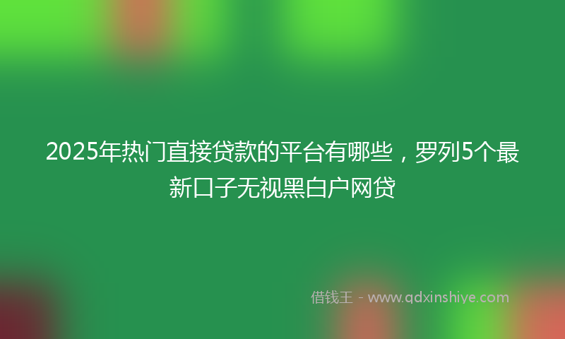 2025年热门直接贷款的平台有哪些，罗列5个最新口子无视黑白户网贷