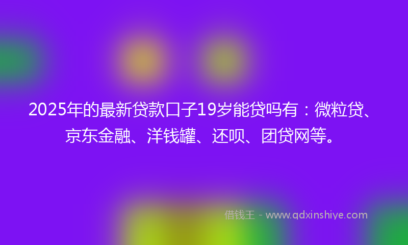 2025年的最新贷款口子19岁能贷吗有：微粒贷、京东金融、洋钱罐、还呗、团贷网等。