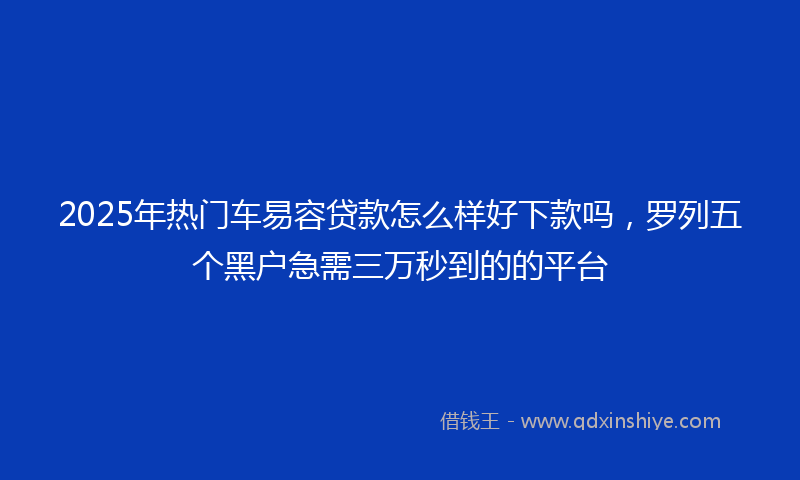 2025年热门车易容贷款怎么样好下款吗，罗列五个黑户急需三万秒到的的平台