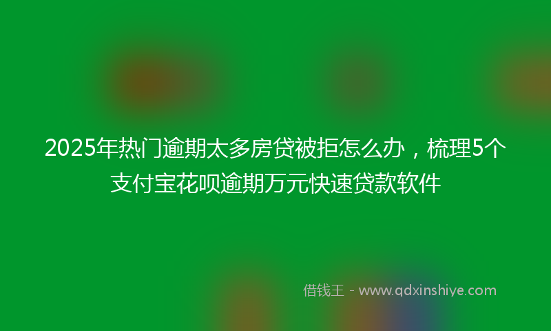 2025年热门逾期太多房贷被拒怎么办，梳理5个支付宝花呗逾期万元快速贷款软件