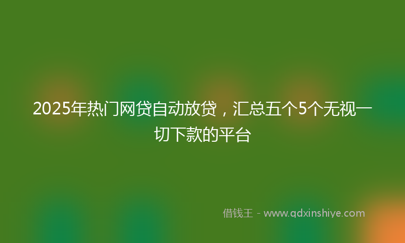 2025年热门网贷自动放贷，汇总五个5个无视一切下款的平台