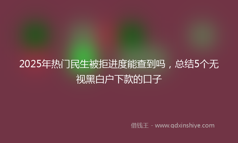 2025年热门民生被拒进度能查到吗，总结5个无视黑白户下款的口子
