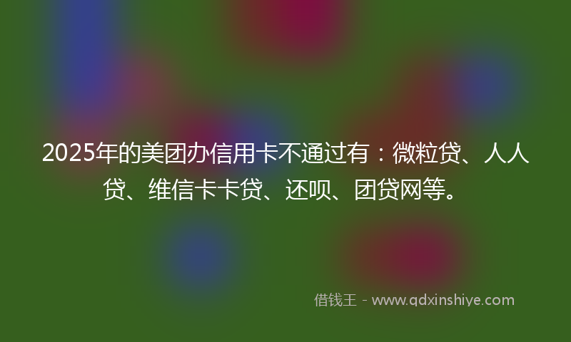 2025年的美团办信用卡不通过有：微粒贷、人人贷、维信卡卡贷、还呗、团贷网等。
