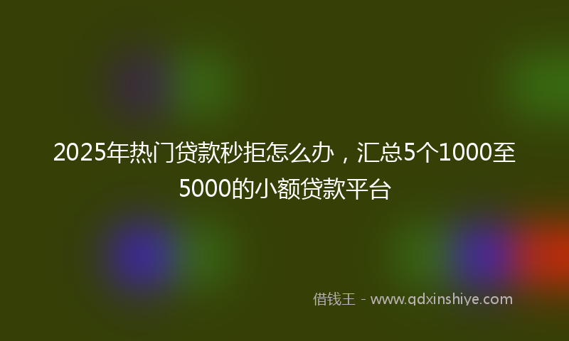 2025年热门贷款秒拒怎么办，汇总5个1000至5000的小额贷款平台