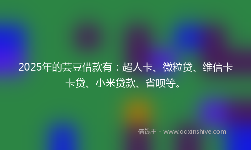 2025年的芸豆借款有：超人卡、微粒贷、维信卡卡贷、小米贷款、省呗等。