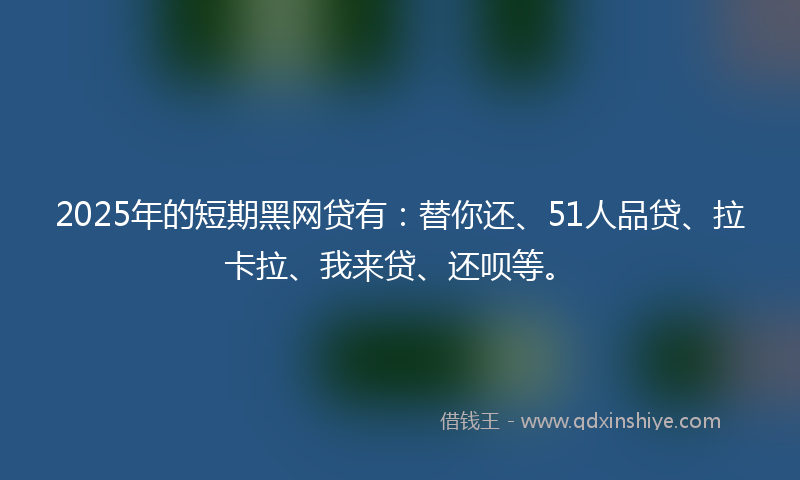 2025年的短期黑网贷有：替你还、51人品贷、拉卡拉、我来贷、还呗等。