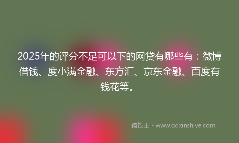 2025年的评分不足可以下的网贷有哪些有：微博借钱、度小满金融、东方汇、京东金融、百度有钱花等。