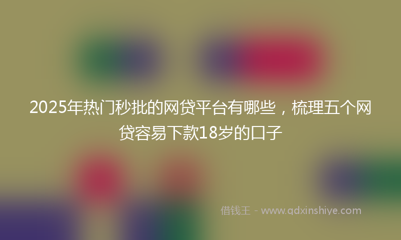 2025年热门秒批的网贷平台有哪些，梳理五个网贷容易下款18岁的口子
