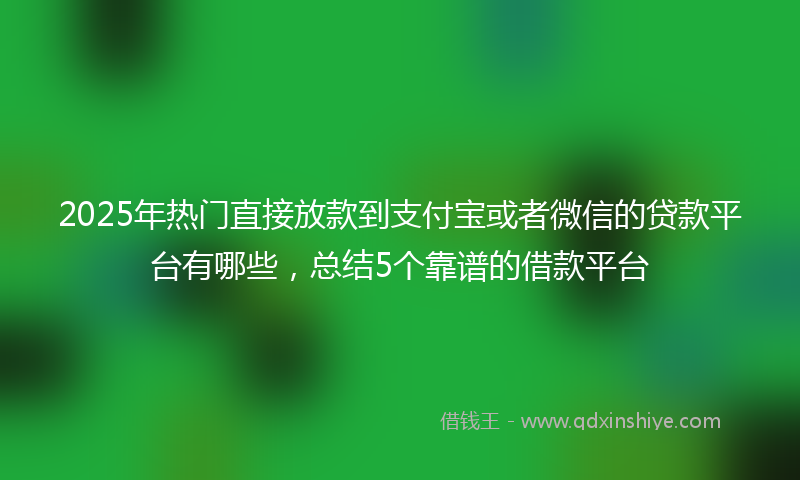 2025年热门直接放款到支付宝或者微信的贷款平台有哪些，总结5个靠谱的借款平台