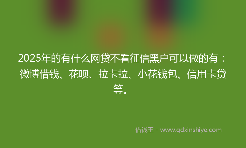 2025年的有什么网贷不看征信黑户可以做的有：微博借钱、花呗、拉卡拉、小花钱包、信用卡贷等。