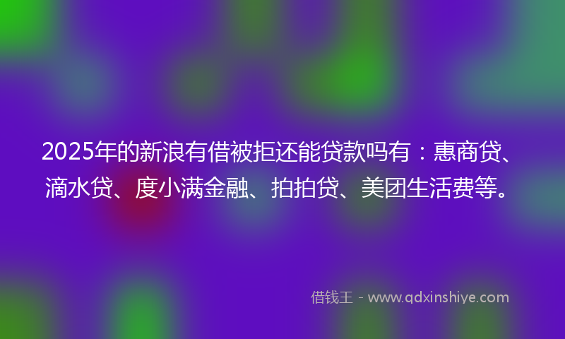 2025年的新浪有借被拒还能贷款吗有：惠商贷、滴水贷、度小满金融、拍拍贷、美团生活费等。