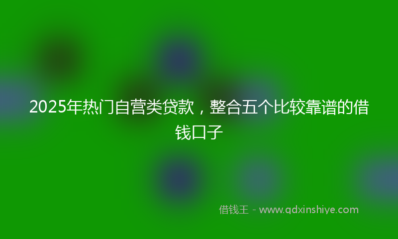 2025年热门自营类贷款，整合五个比较靠谱的借钱口子