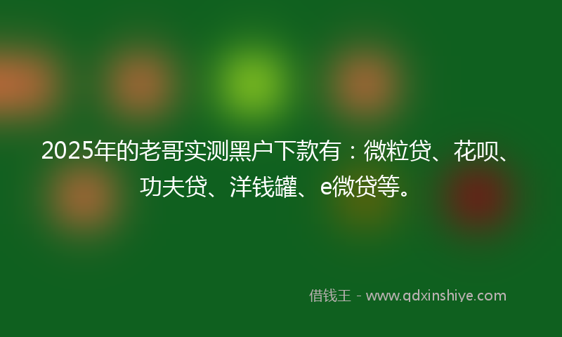 2025年的老哥实测黑户下款有：微粒贷、花呗、功夫贷、洋钱罐、e微贷等。