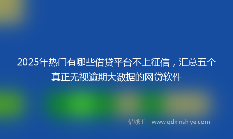 2025年热门有哪些借贷平台不上征信，汇总五个真正无视逾期大数据的网贷软件