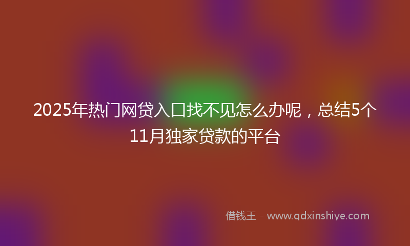 2025年热门网贷入口找不见怎么办呢，总结5个11月独家贷款的平台