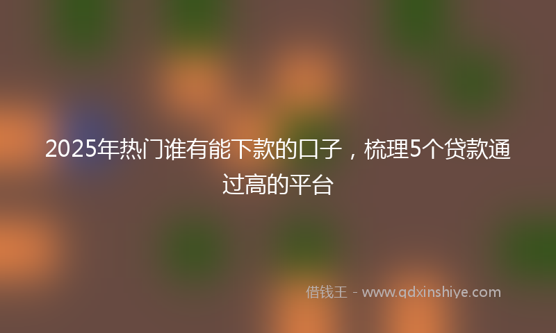 2025年热门谁有能下款的口子，梳理5个贷款通过高的平台