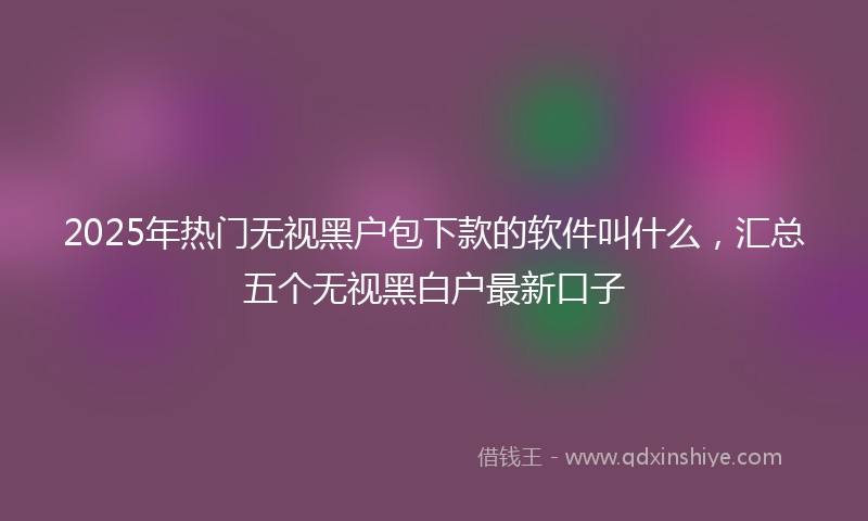 2025年热门无视黑户包下款的软件叫什么，汇总五个无视黑白户最新口子