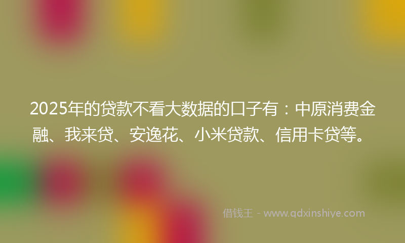 2025年的贷款不看大数据的口子有：中原消费金融、我来贷、安逸花、小米贷款、信用卡贷等。
