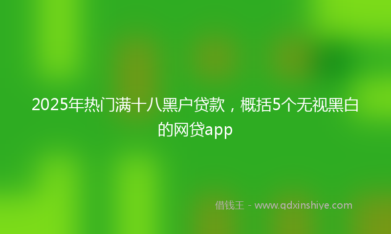 2025年热门满十八黑户贷款，概括5个无视黑白的网贷app