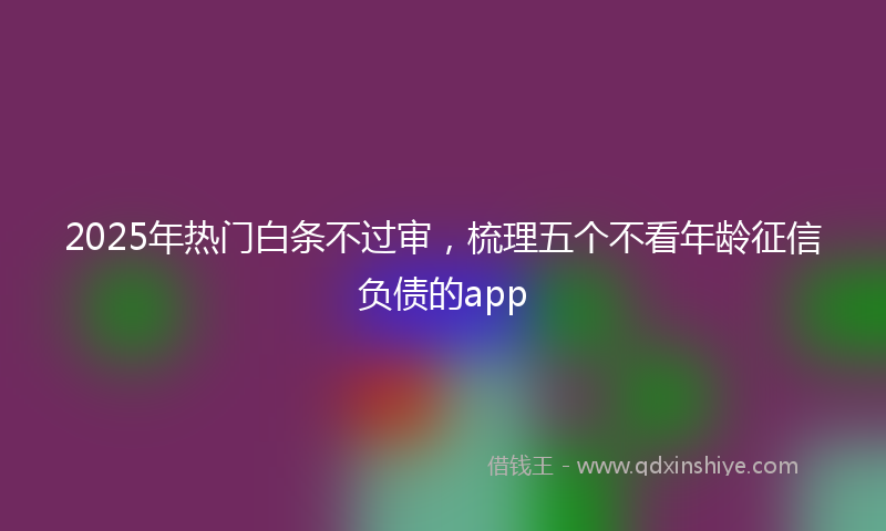 2025年热门白条不过审，梳理五个不看年龄征信负债的app