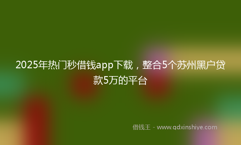 2025年热门秒借钱app下载，整合5个苏州黑户贷款5万的平台