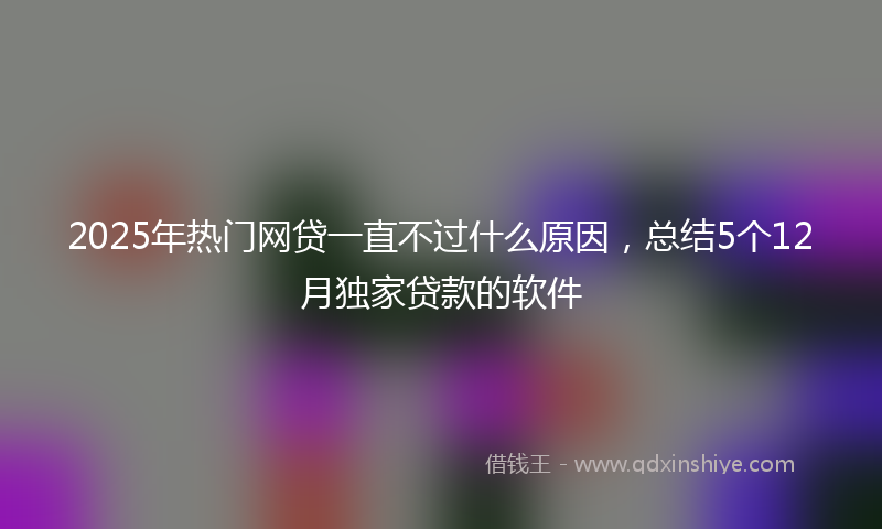 2025年热门网贷一直不过什么原因，总结5个12月独家贷款的软件