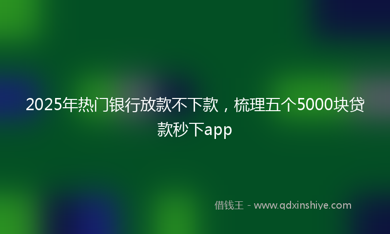 2025年热门银行放款不下款，梳理五个5000块贷款秒下app