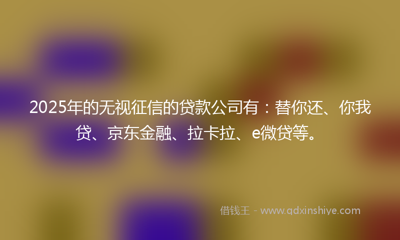 2025年的无视征信的贷款公司有：替你还、你我贷、京东金融、拉卡拉、e微贷等。