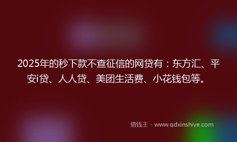 2025年的秒下款不查征信的网贷有：东方汇、平安i贷、人人贷、美团生活费、小花钱包等。